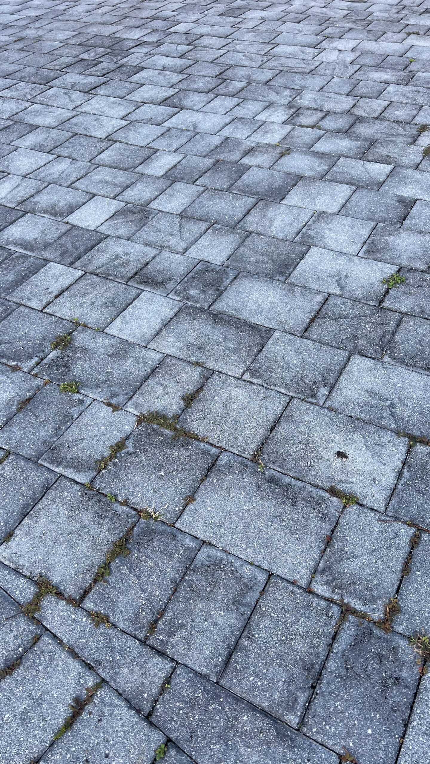gray driveway paver sealing Miami, Pavers Sealing Expert, Paver sealing miami, pavers installation